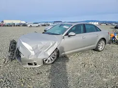 WAUANAF48HN013757 2017 AUDI A4