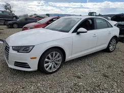 WAUANAF49HN058044 2017 AUDI A4