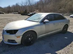 WAUANAF4XHN062782 2017 AUDI A4