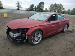 WAUANCF59KA060010 2019 AUDI A5
