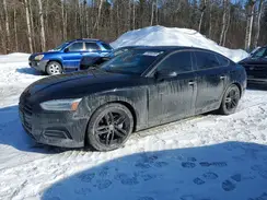 WAUANCF59KA079558 2019 AUDI A5