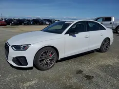 WAUB4AF41PA084389 2023 AUDI RS4