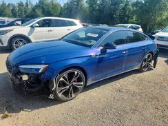 WAUB4CF51SA014727 2025 AUDI S5