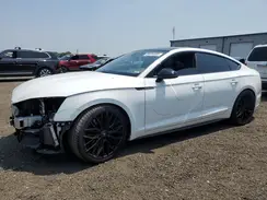 WAUB4CF52KA005003 2019 AUDI S5
