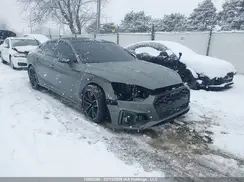 WAUB4CF52SA006782 2025 AUDI S5