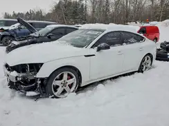 WAUB4CF53RA085440 2024 AUDI RS5
