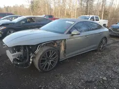 WAUB4CF56MA044454 2021 AUDI S5
