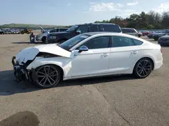 WAUB4CF57KA003084 2019 AUDI S5