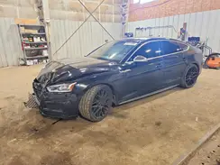 WAUB4CF57KA003683 2019 AUDI S5