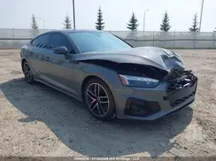 WAUB4CF58RA019384 2024 AUDI S5