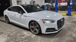 WAUB4CF59KA080734 2019 AUDI S5