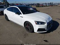 WAUB4CF5XKA016377 2019 AUDI S5