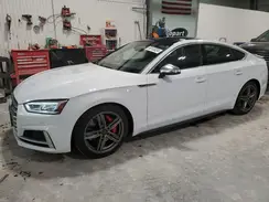 WAUB4CF5XKA075770 2019 AUDI S5