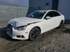 WAUBNAF41HN005519 2017 AUDI A4