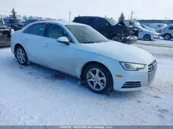 WAUBNAF44HN010813 2017 AUDI A4