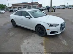 WAUBNAF44HN066802 2017 AUDI A4