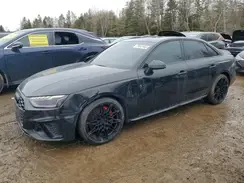 WAUC4AF49LA065751 2020 AUDI RS4