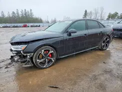WAUC4AF4XRA067968 2024 AUDI RS4