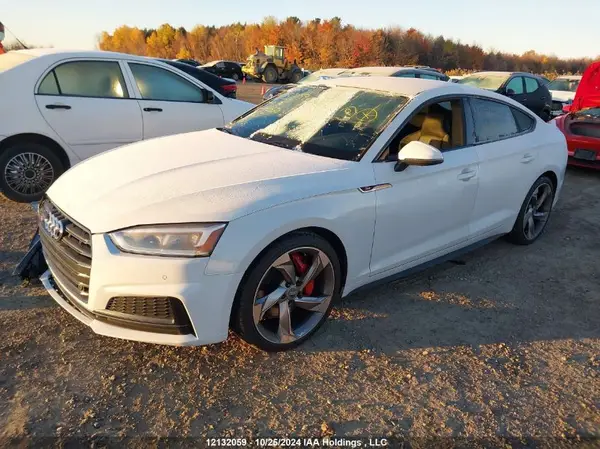 WAUC4CF50KA078570 2019 AUDI S5 - Image 2