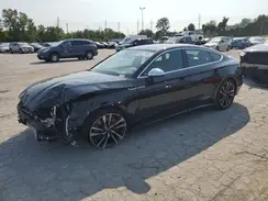 WAUC4CF50RA017567 2024 AUDI RS5