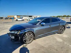 WAUC4CF54PA032344 2023 AUDI S5