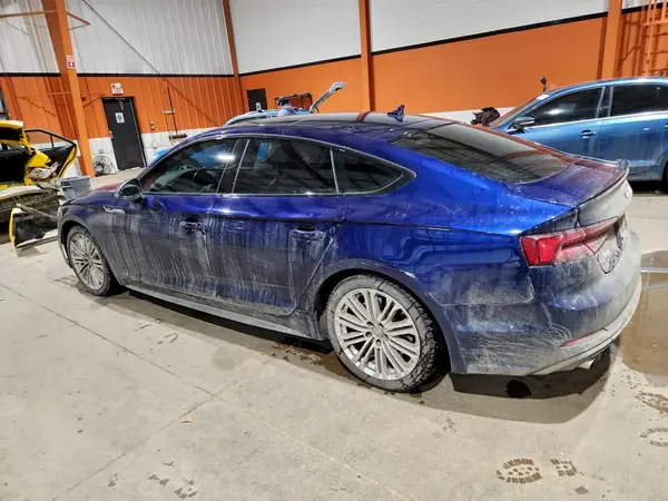 WAUC4CF55KA015576 2019 AUDI S5 - Image 2