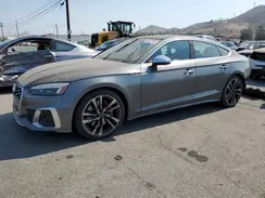 WAUC4CF55PA010983 2023 AUDI S5