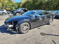 WAUC4CF56LA011585 2020 AUDI S5