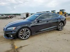 WAUC4CF56PA038436 2023 AUDI S5