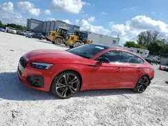 WAUC4CF56RA093889 2024 AUDI S5