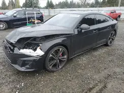 WAUC4CF59PA006483 2023 AUDI S5
