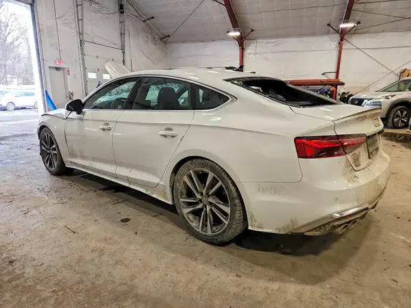 WAUC4CF59RA113651 2024 AUDI RS5 - Image 2