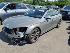 WAUC4DF50PA008659 2023 AUDI S5
