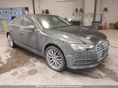 WAUCNAF44HN003557 2017 AUDI A4