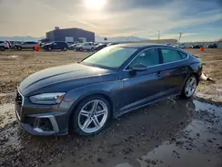 WAUDACF59NA033290 2022 AUDI A5