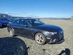 WAUDNAF40KN012624 2019 AUDI A4