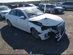 WAUDNAF45KN014448 2019 AUDI A4