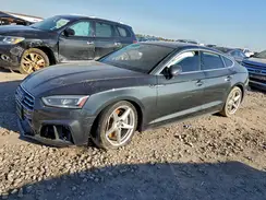 WAUDNCF57KA065591 2019 AUDI A5