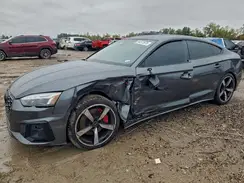 WAUEACF55RA019591 2024 AUDI A5