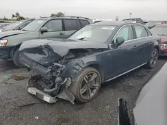 WAUENAF46HN001012 2017 AUDI A4