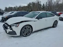 WAUENCF55KA014014 2019 AUDI A5