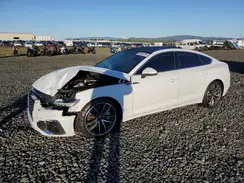 WAUFACF50PA016146 2023 AUDI A5