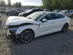 WAUFACF53PA020952 2023 AUDI A5
