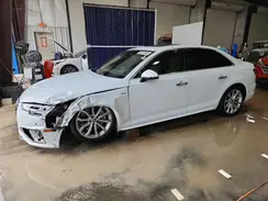 WAUFNAF42KN004162 2019 AUDI A4