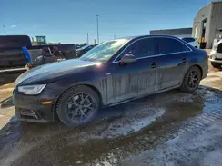 WAUFNAF4XHN010025 2017 AUDI A4