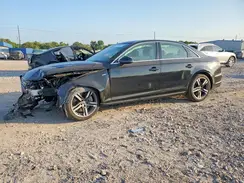 WAULNAF48HN058206 2017 AUDI A4