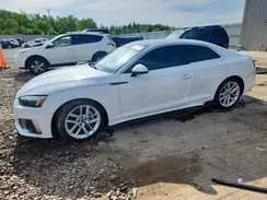 WAUSAAF54PA010370 2023 AUDI A5
