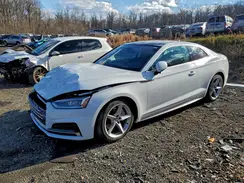 WAUTNAF55KA017314 2019 AUDI A5