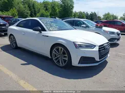 WAUTNAF58KA013161 2019 AUDI A5