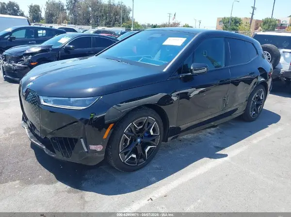 WB523CF01RCR60962 2024 BMW IX - Image 2